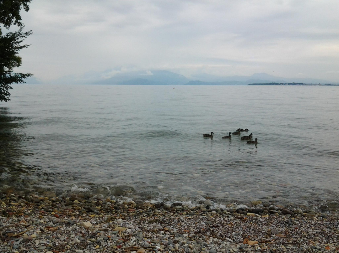 Spiaggia Lido di Lugana Sirmione景点图片