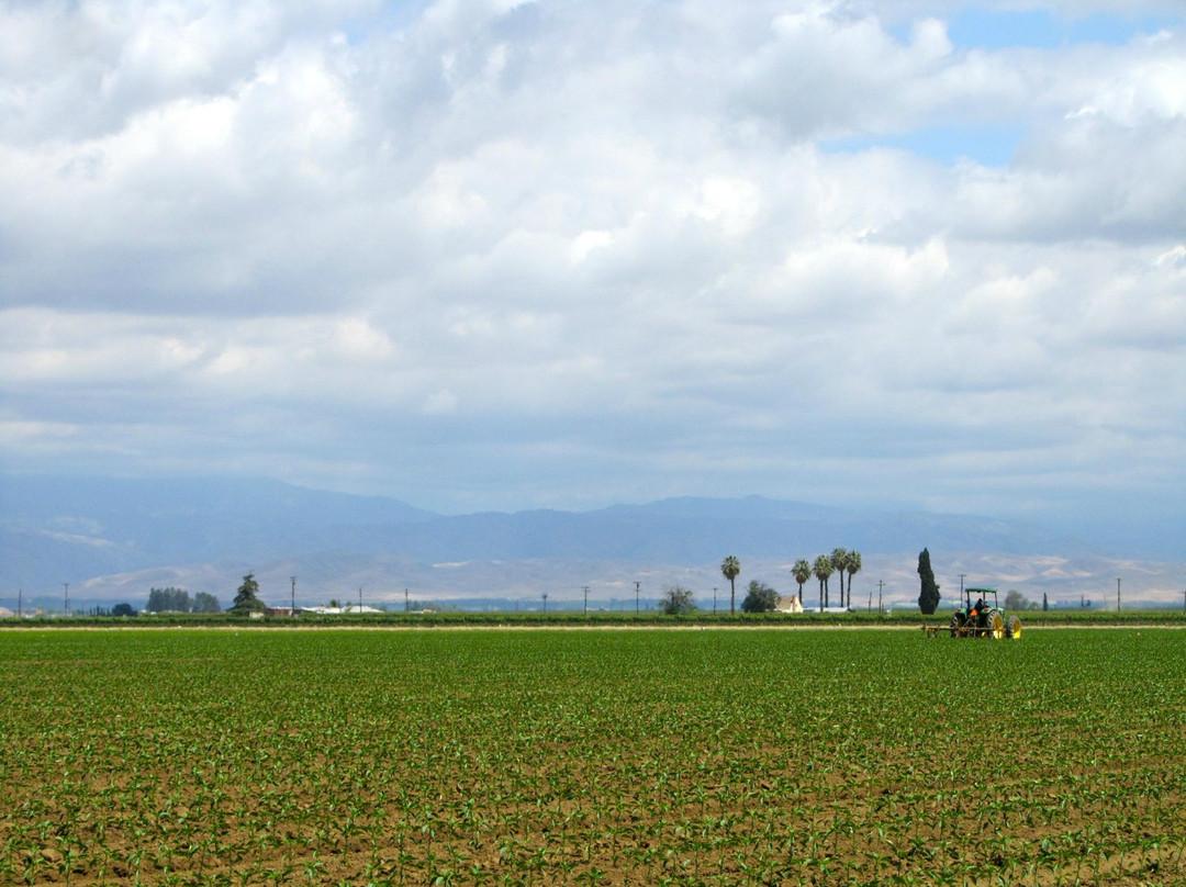 Weedpatch Camp-贝克斯菲尔德必去景点
