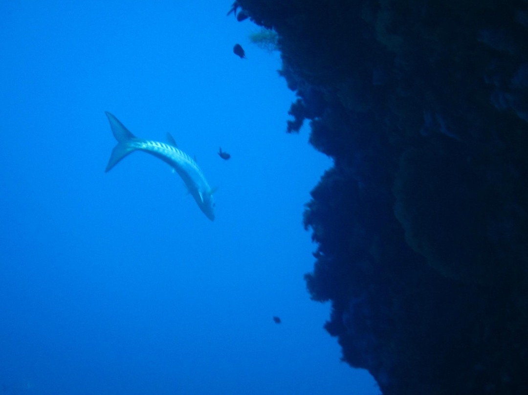 Binibeca Diving-Sant Lluis必去景点