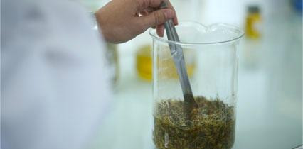 Melvita Cosmétiques Biologiques景点图片