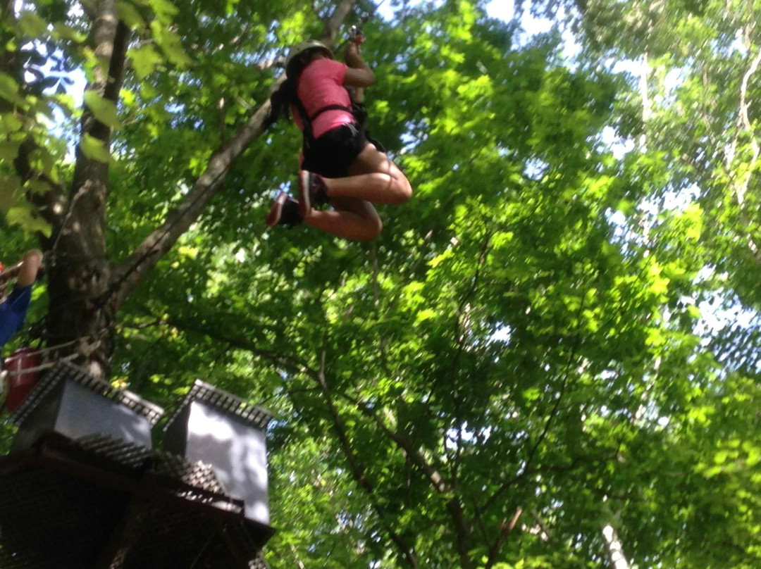 Big Bear Ziplines-海德公园必去景点