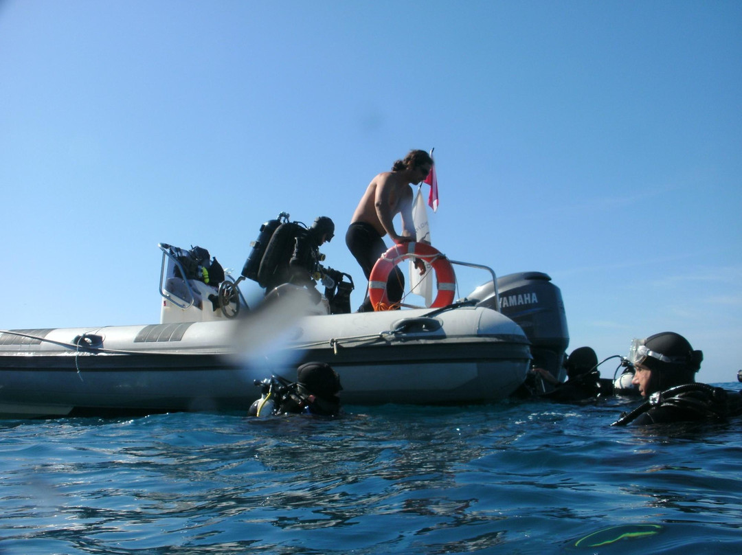 Diving Centro Sub Piombino景点图片