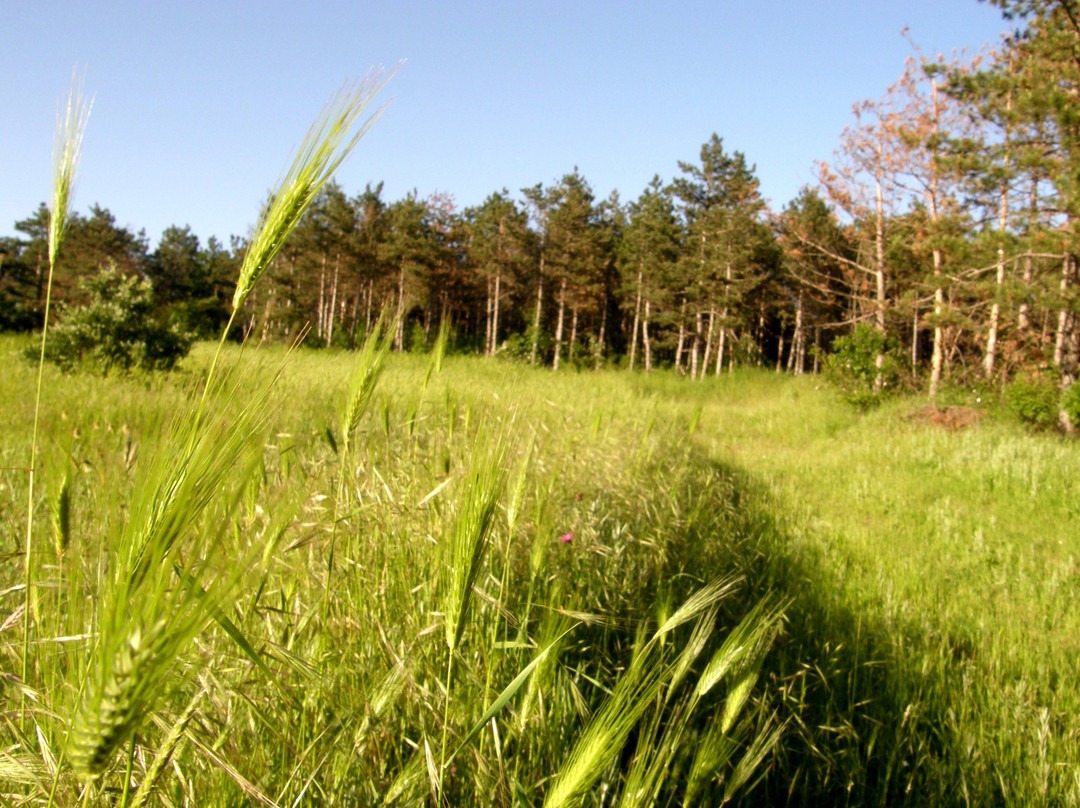 Free Hiking Tour Sveti Vlas-圣夫拉斯必去景点