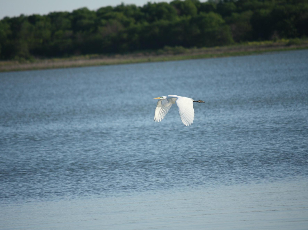 Stewart Creek Park-The Colony必去景点
