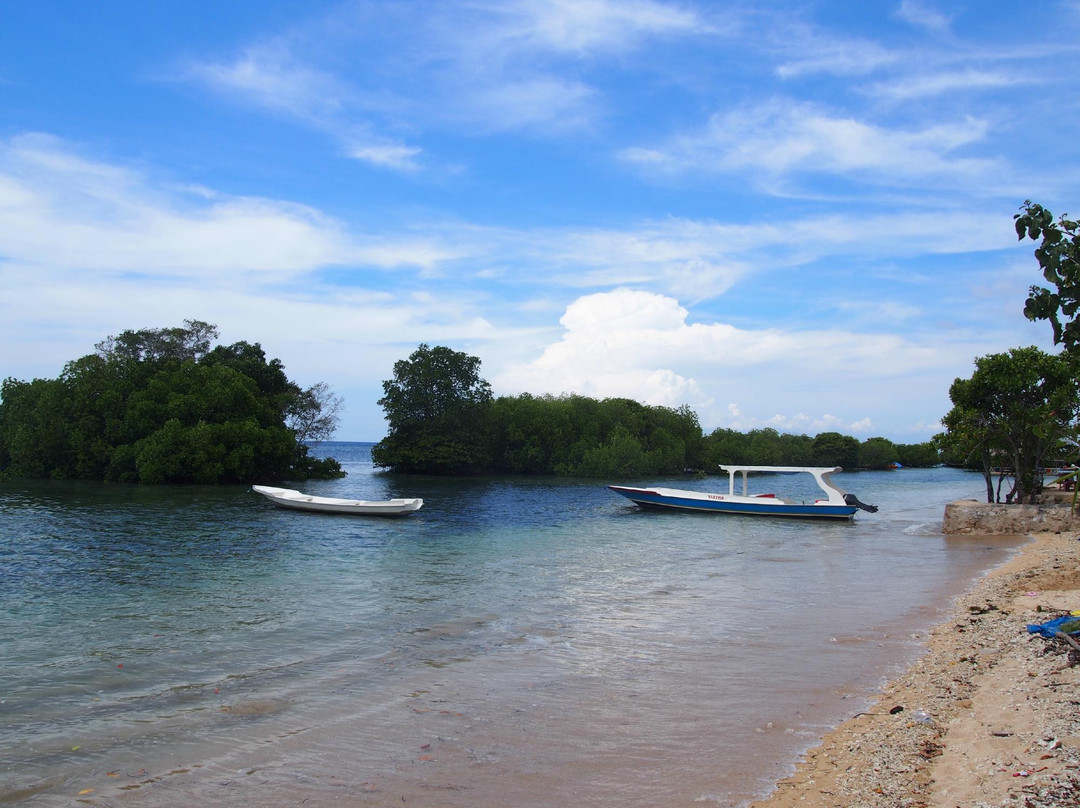 蓝梦岛红树林-蓝梦岛必去景点