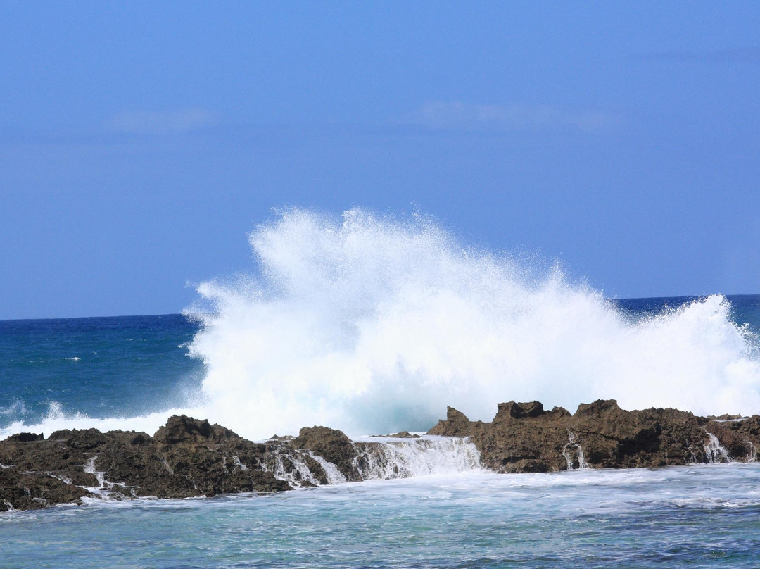 普普科亚海滨公园-哈雷瓦必去景点