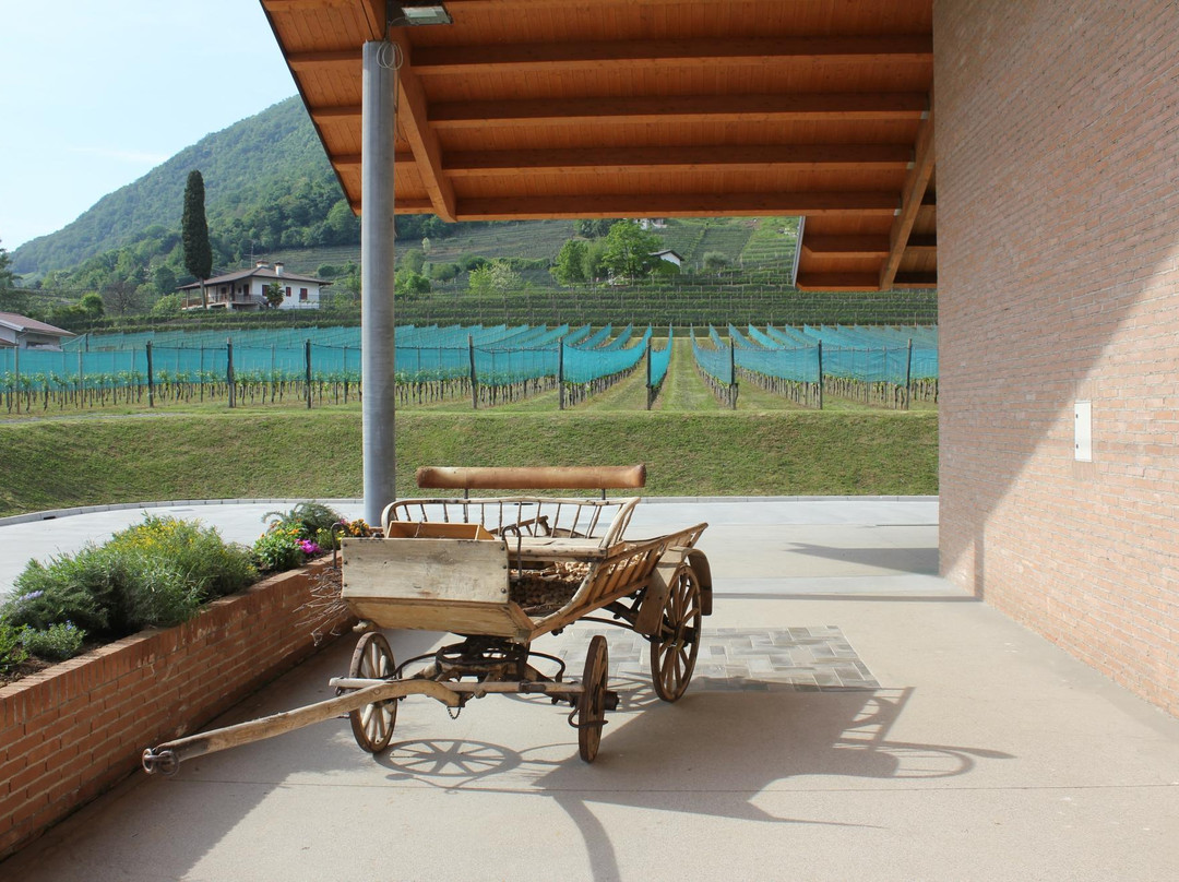 Azienda Agricola Giovanni Dri景点图片
