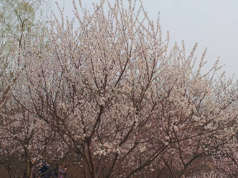 奥林匹克森林公园-北京市必去景点