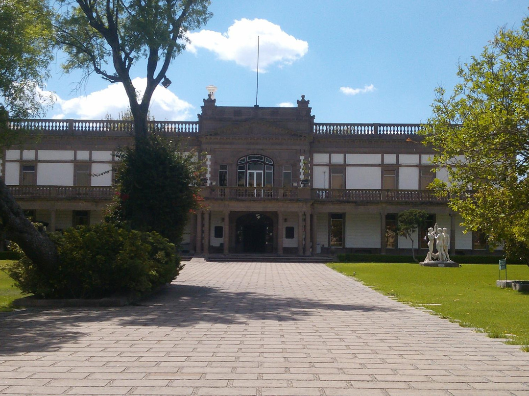 Museo Francisco Cossio景点图片