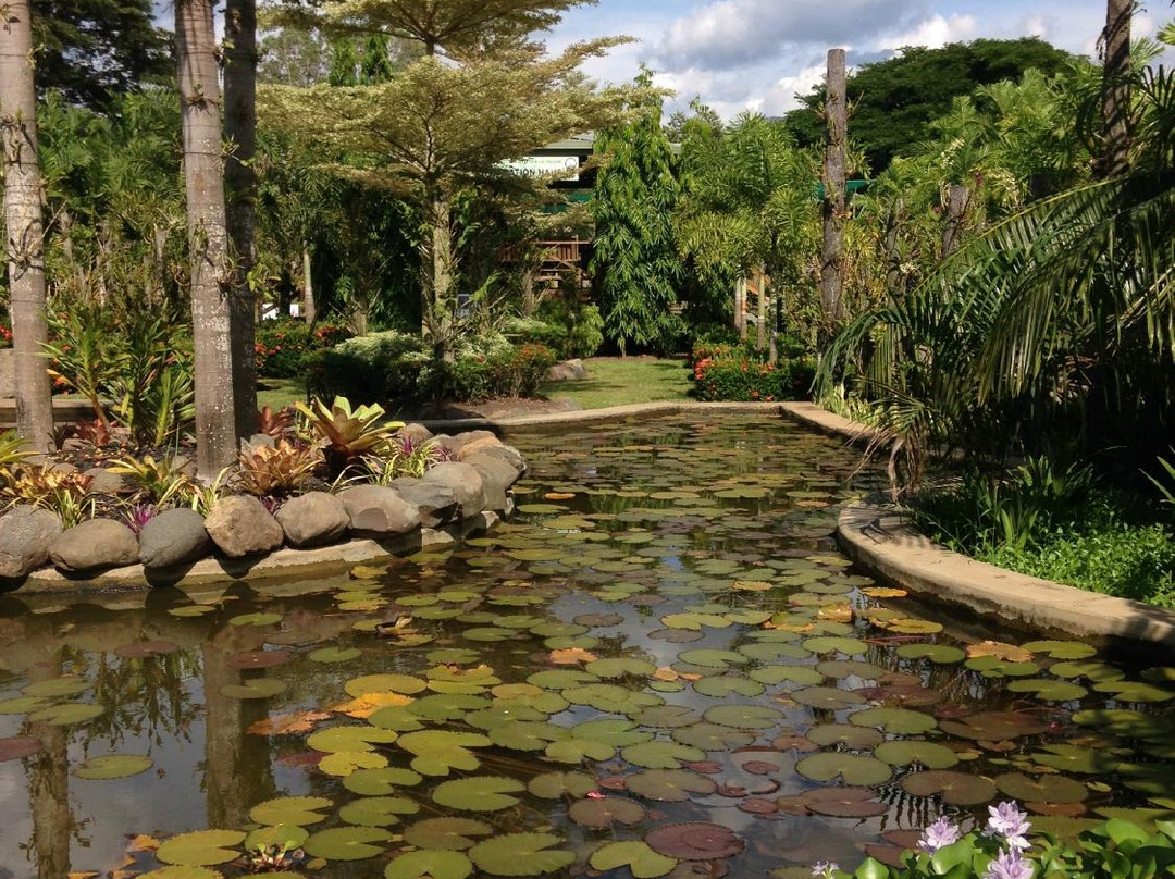 National Orchid Garden-莫尔兹比港必去景点