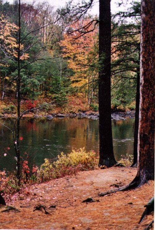 Dorwin Falls Park-Rawdon必去景点