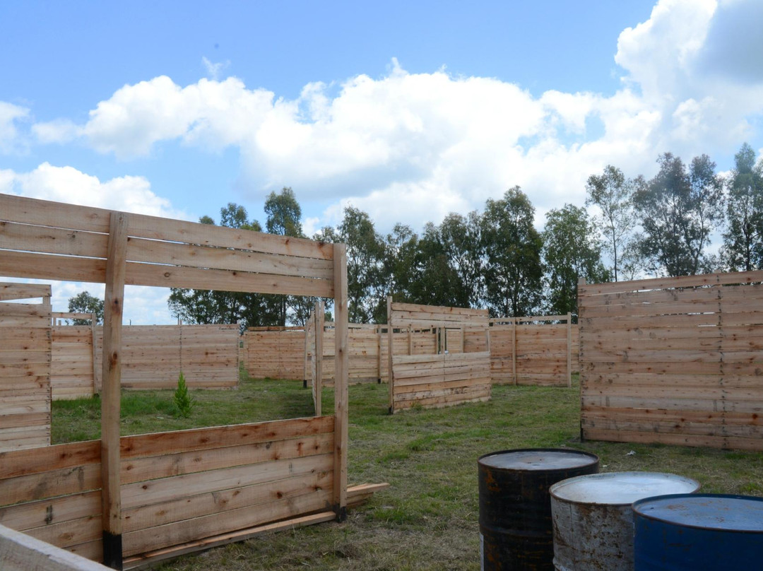 Revolution Paintball-San Vicente必去景点