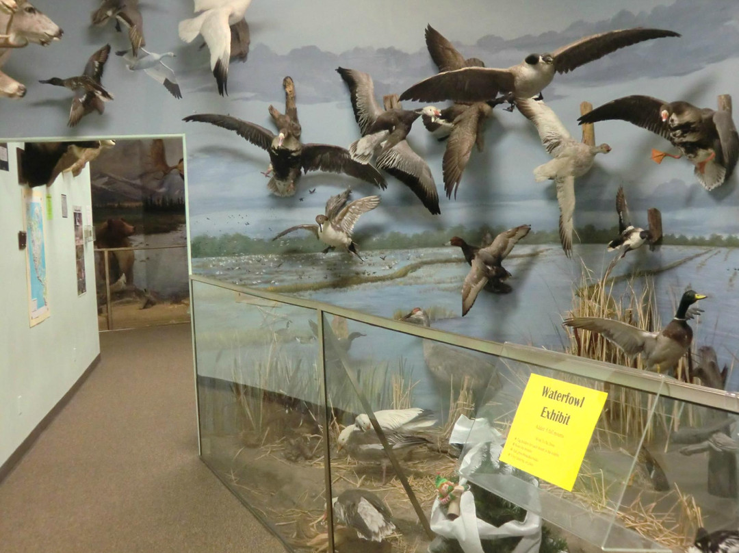 El Campo Museum of Natural History-El Campo必去景点