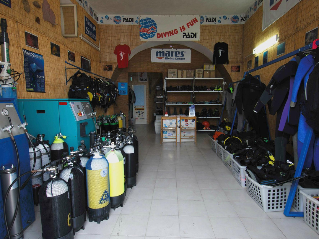 La Gorgonia Diving Center-利帕里必去景点