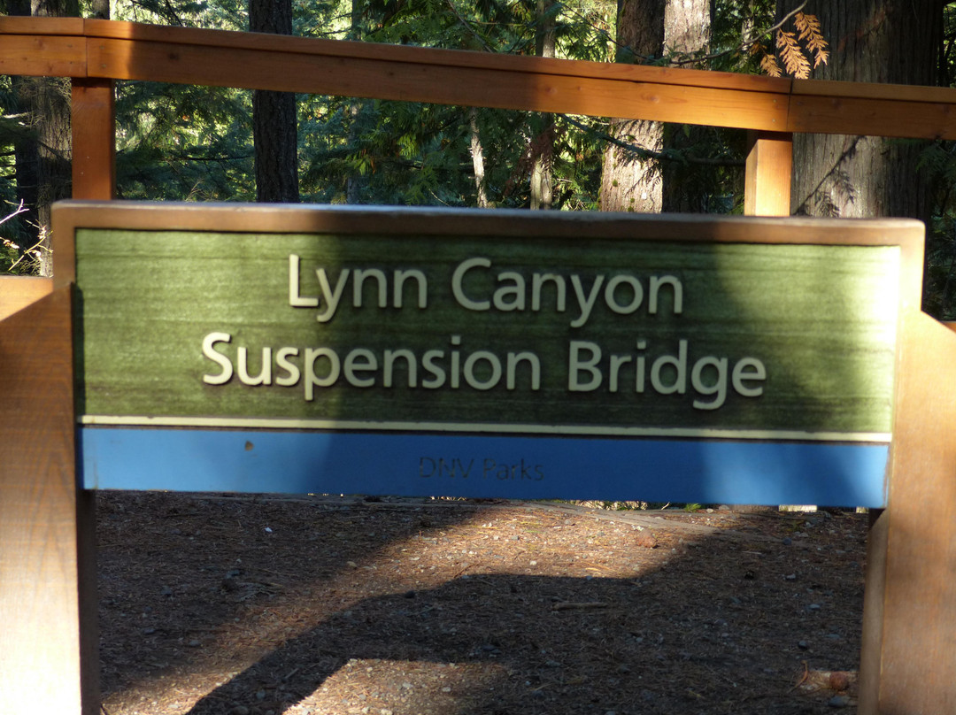 Lynn Canyon Suspension Bridge-北温哥华必去景点