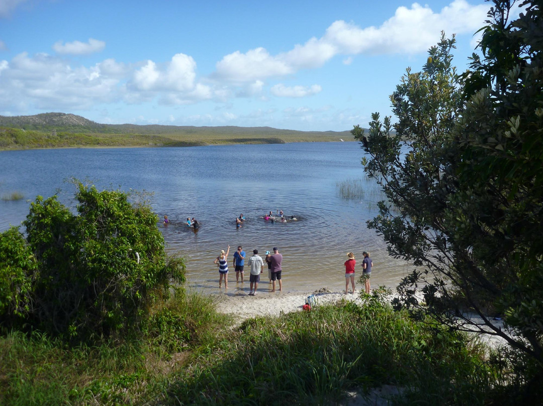Moreton Island Tourist Services景点图片