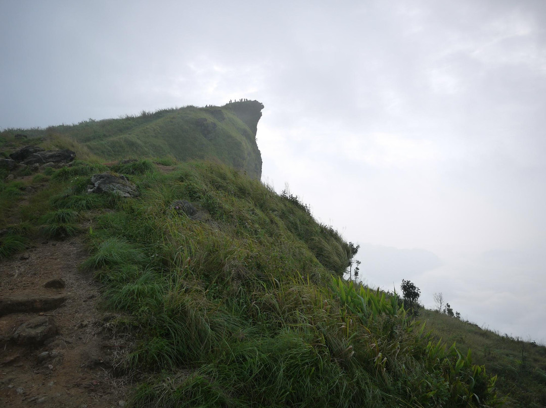 Phu Chi Fa Forest Park-汤县必去景点