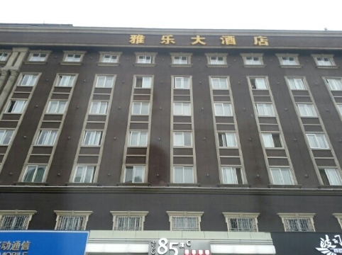 巨洋雅乐大酒店-客卧