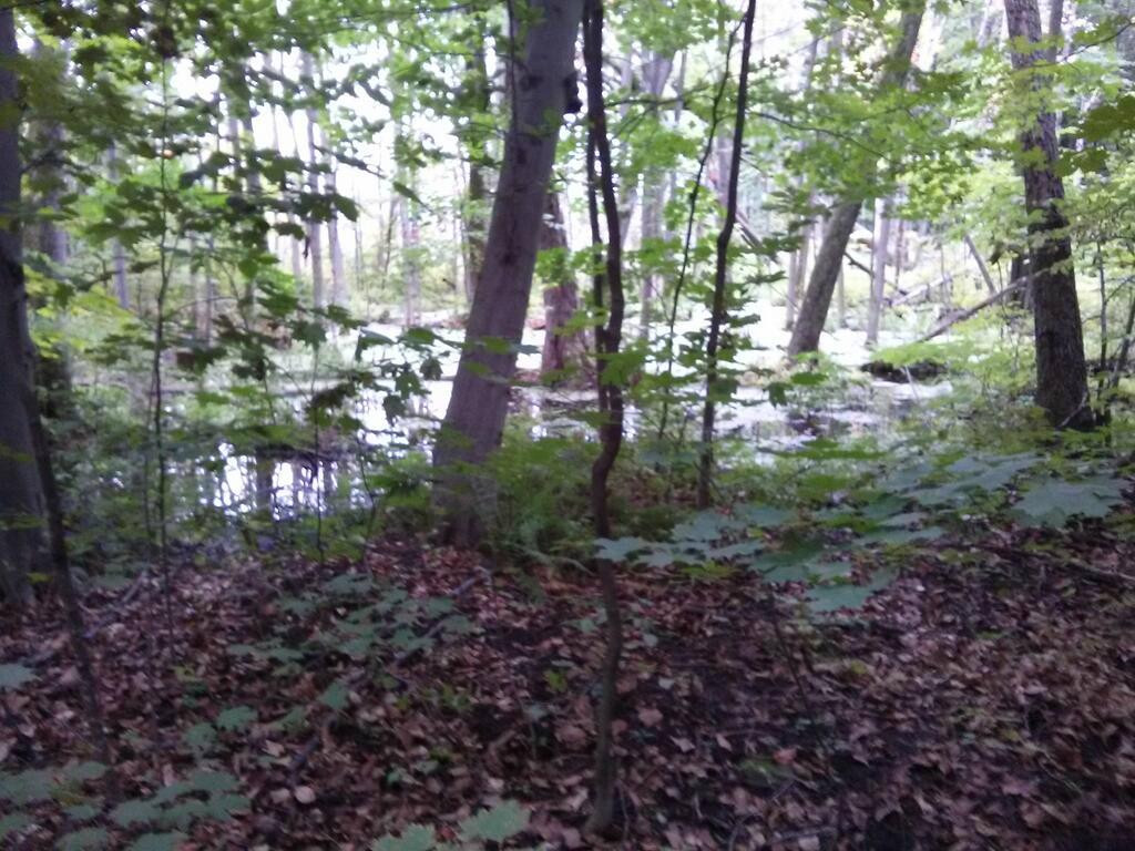 Parc-Nature-du-Bois-de-l'île-Bizard-蒙特利尔必去景点