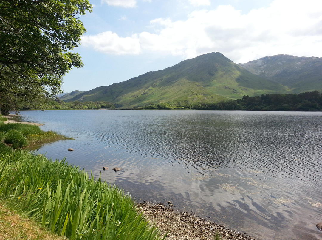 Kylemore Lodge B&B主图