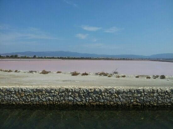Parco Naturale Molentargius-Saline-卡利亚里省必去景点