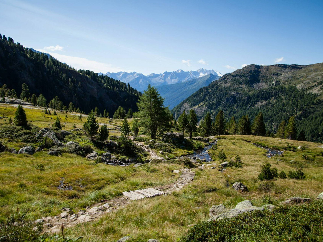 Val di Pejo景点图片