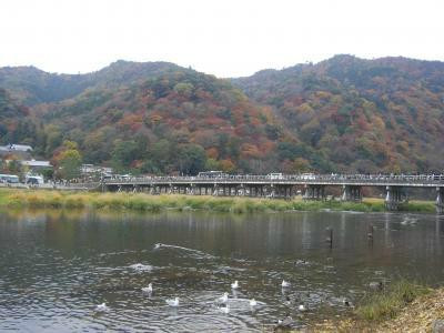 渡月桥-京都市必去景点