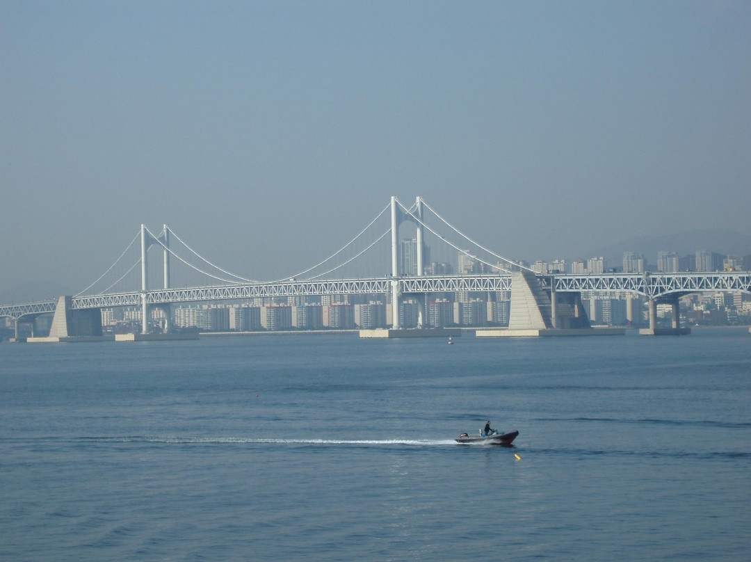 广安大桥-釜山必去景点