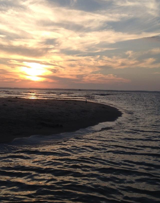 Saltwater Pony Tours-钦科蒂格岛必去景点