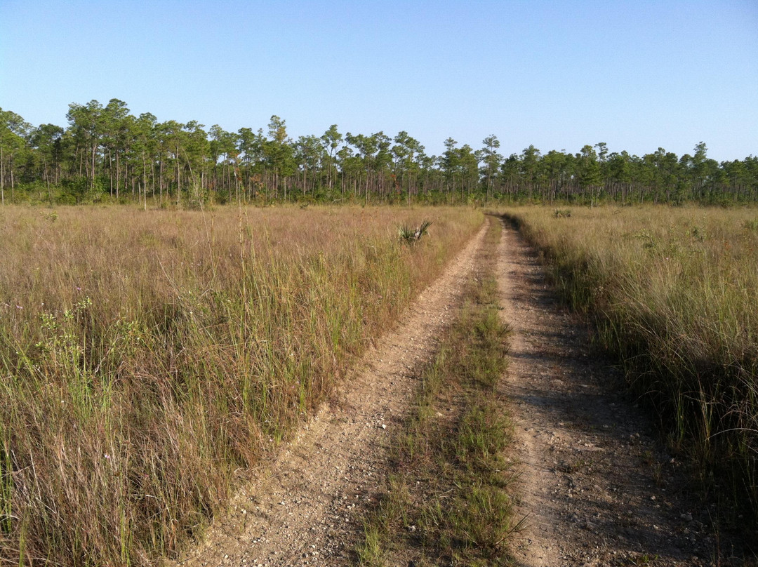 Long Pine Key-大沼泽国家公园必去景点