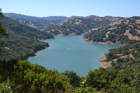 Armstrong Redwood State Reserve景点图片