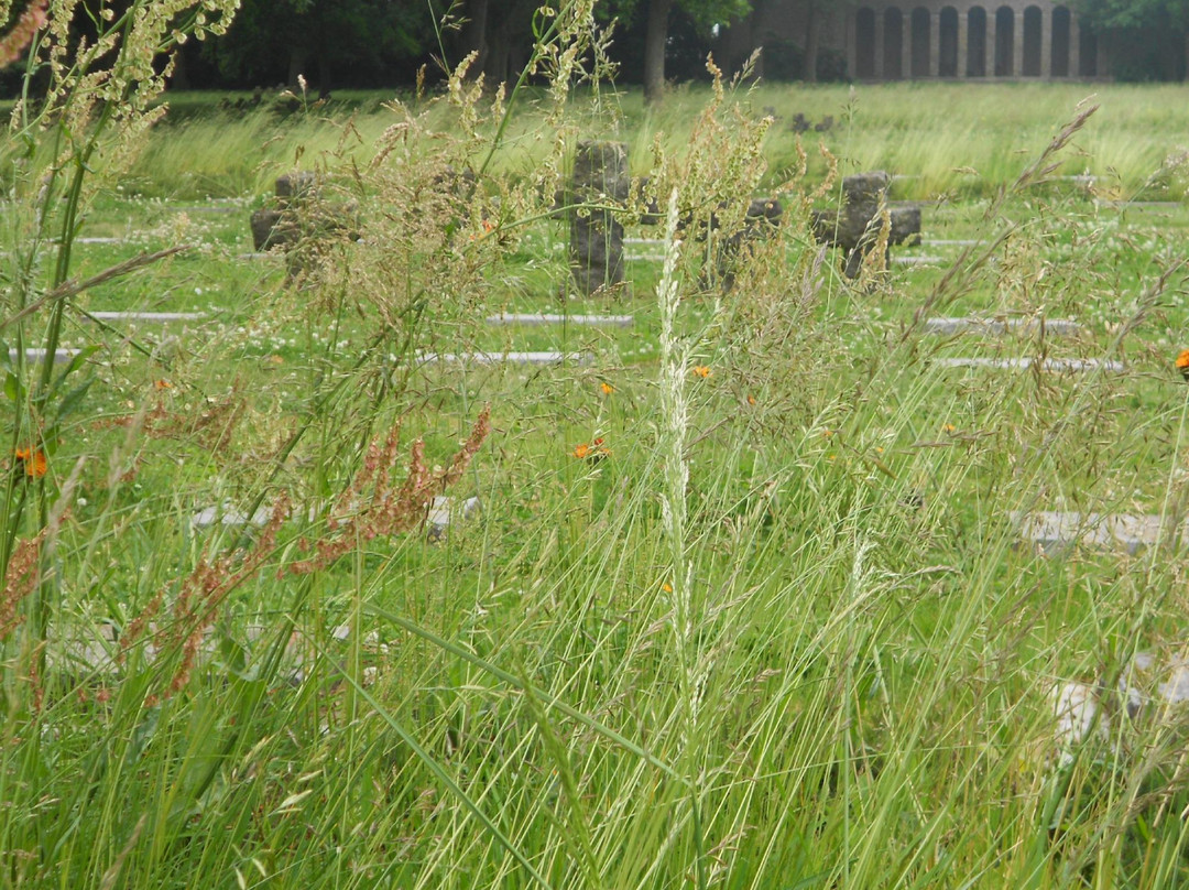 Deutscher Soldatenfriedhof  Hooglede-Hooglede必去景点
