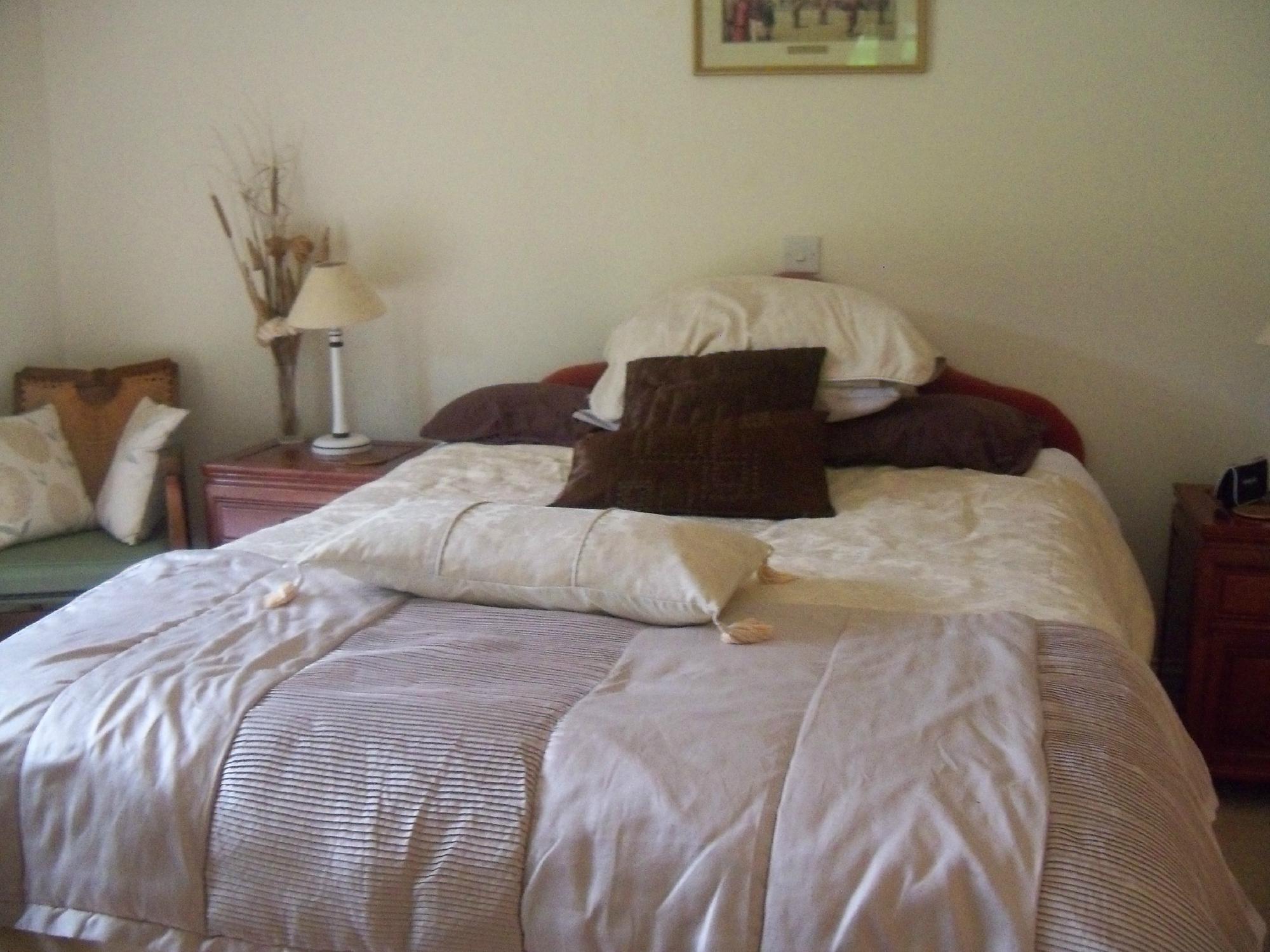 Riverdown B & B-客卧