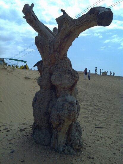 托克托县旅游攻略图片