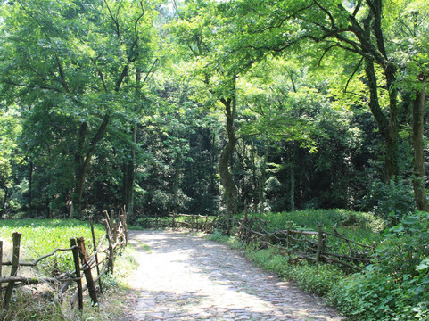 杭州西子湖四季酒店主图