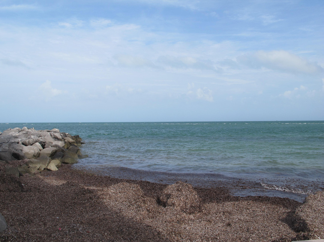 Cape Florida-比斯坎湾必去景点