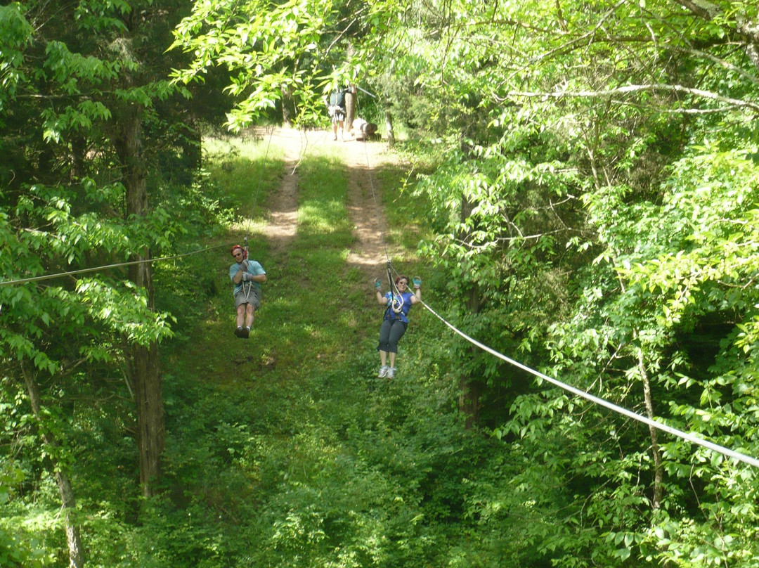 Dagaz Acres Zipline Adventures景点图片