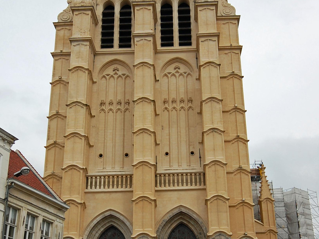 Collegiale Saint Pierre-杜埃必去景点