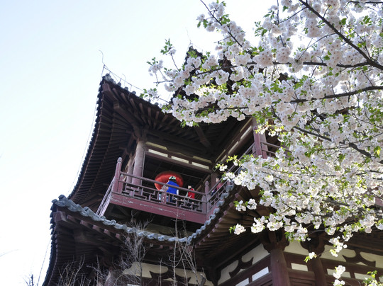 青龙寺-西安市必去景点