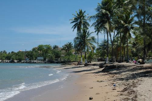 Dorado Beach, A Ritz-carlton Reserve-多拉多必去景点