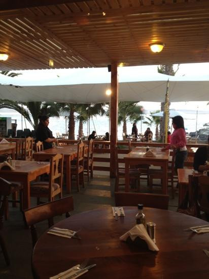 Coral de Bahía主图