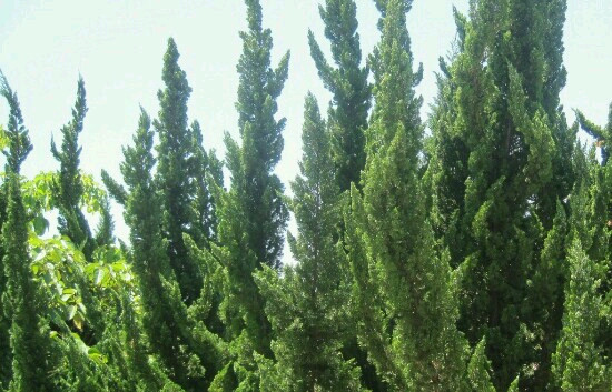 昆明大观楼公园-昆明市必去景点