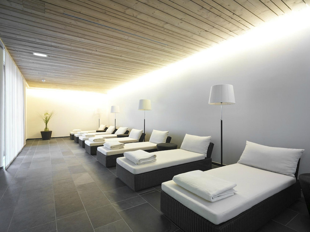 巴拉兹阿尔卑斯山特拉布Spa高尔夫酒店