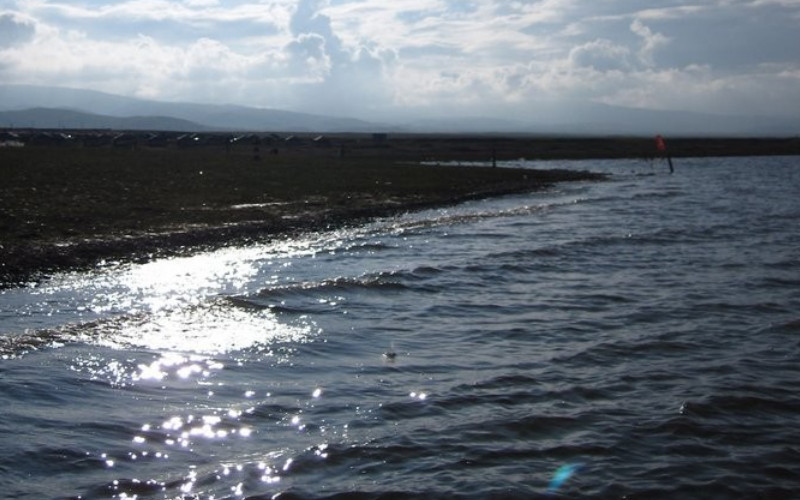 黑马河-共和县必去景点