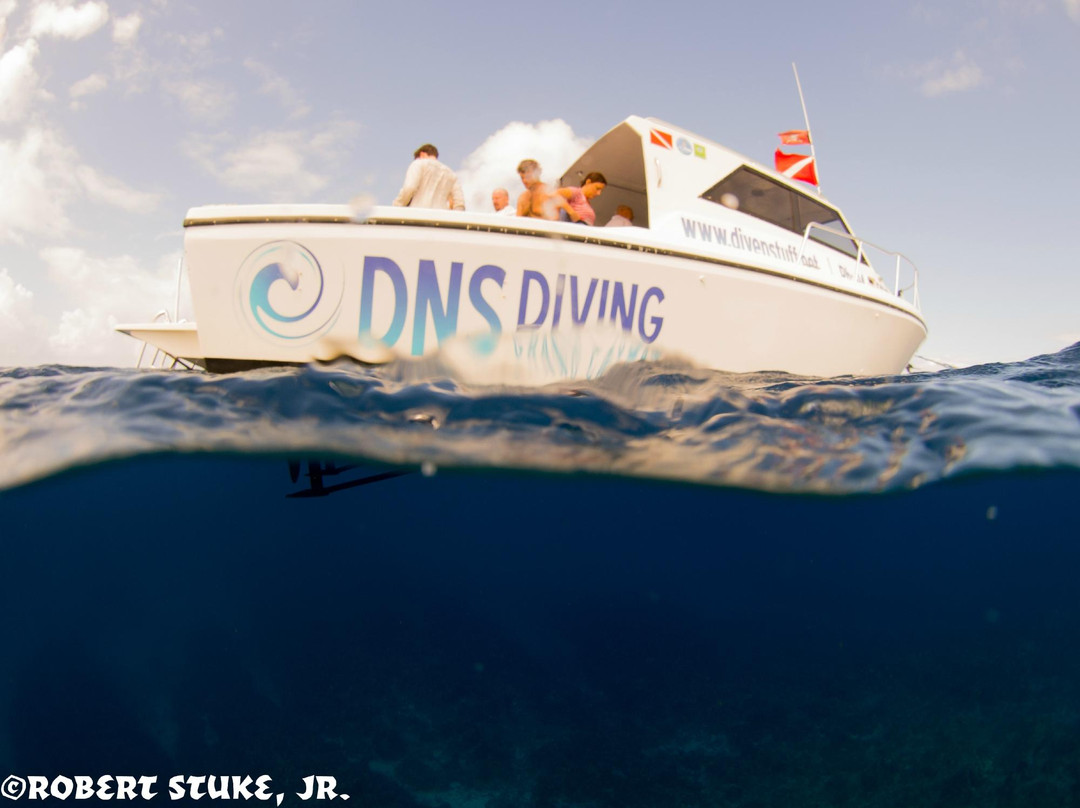 DNS Diving-七哩滩必去景点