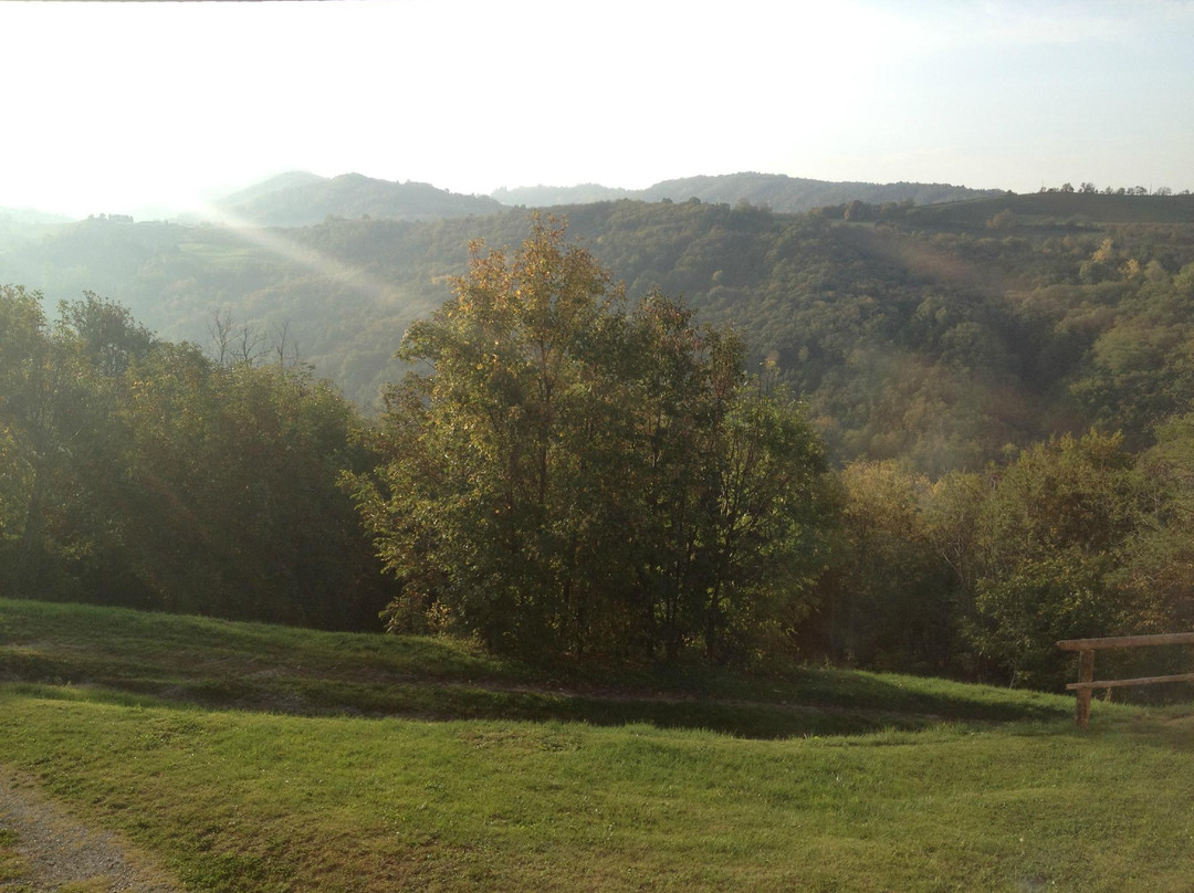 Il Monarca