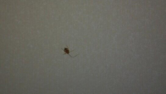 Collins Inn & Suites主图