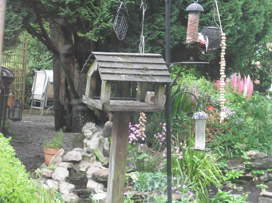 Pennycroft Guest House主图