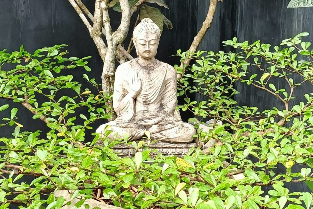 Nature Side Yoga & Ayurveda-希克杜沃必去景点