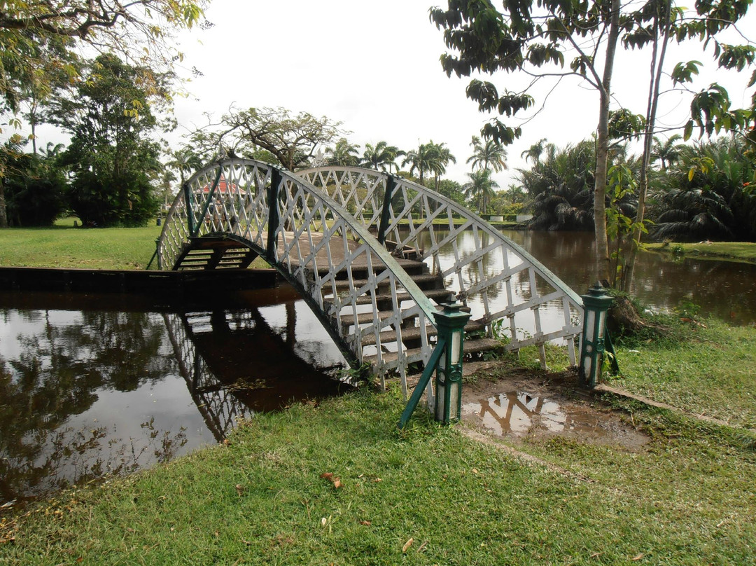 Guyana Botanical Gardens景点图片